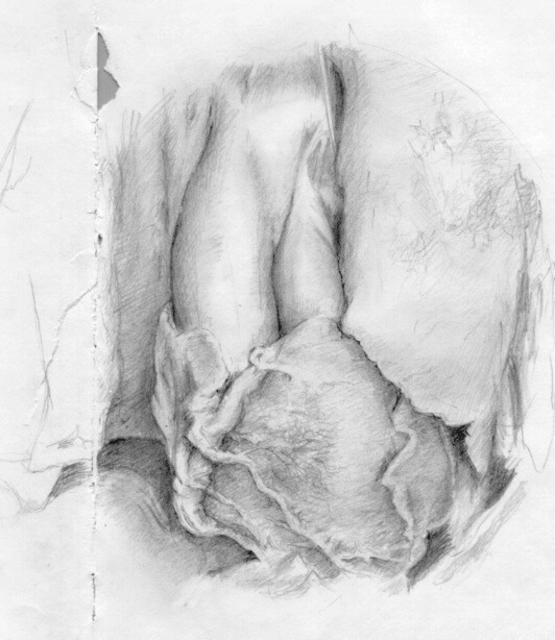 Bonie Bolen  'Human Heart  Study', created in 2001, Original Collage.