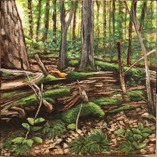 Bonie Bolen: 'forest scene', 2017 Woodcut, nature. small wood burning and paint on wood...