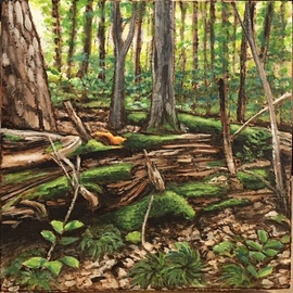 forest scene By Bonie Bolen