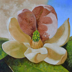 magnolia By Arturas Braziunas