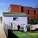 Hung Out to Dry By Roderick Briggs