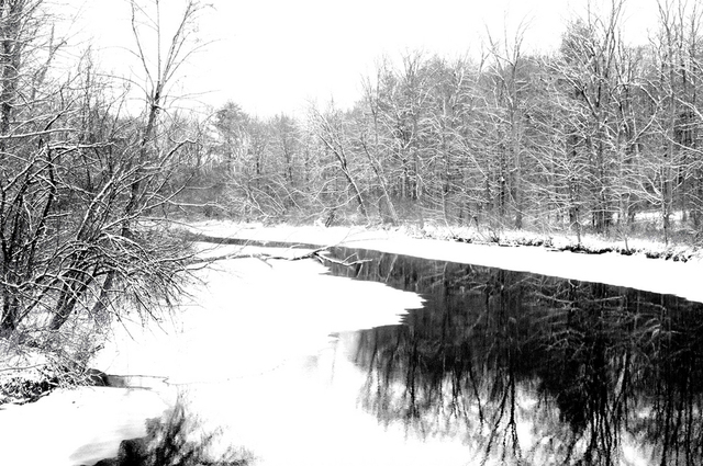 Bruce Panock  'Hosatonic Winter 2009', created in 2009, Original Photography Black and White.