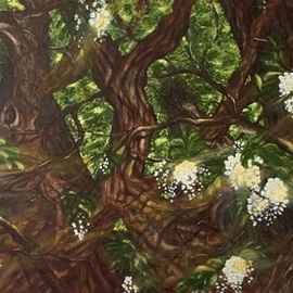 Elena Belkova: 'Acacia with bee', 2017 Oil Painting, Nature. Artist Description: This work reflects my interest in the perspective of acacia trees with intricate brunches which bears the bunches of flowers with pleasant aroma and the single bee in action.Using the medium and technique I was tried to accomplish the detailed artwork at the same time to workwith ...