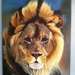 Lion By Jordan Burandt