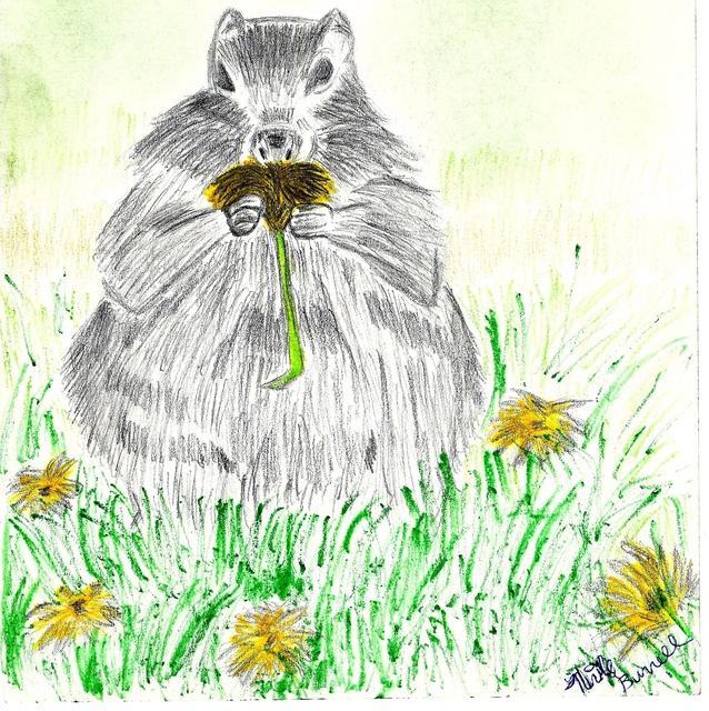 Artist Nicole Burrell. 'Beaver' Artwork Image, Created in 2012, Original Drawing Marker. #art #artist