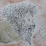 Lioness, Nicole Burrell
