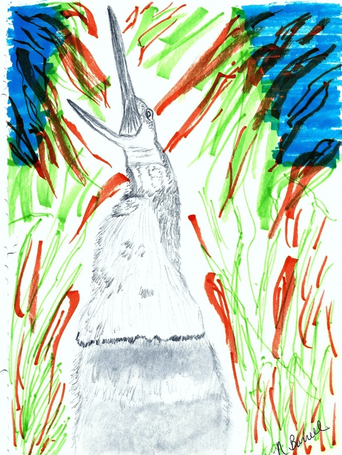Artist Nicole Burrell. 'Ostrich' Artwork Image, Created in 2012, Original Drawing Marker. #art #artist