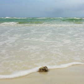COCONUT BEACH By Carolyn Bistline