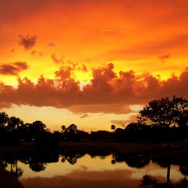 Carolyn Bistline: 'SANGRIA SUNSET', 2012 Color Photograph, Seascape. Artist Description:  Tropical sunset reflects the gold and red  colors of the sky onto the waters below.    ...