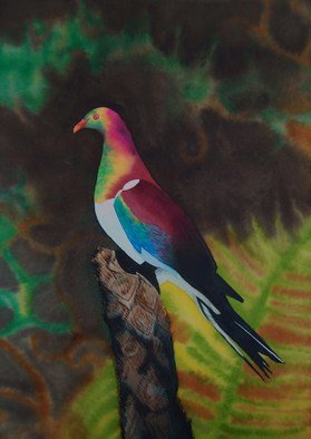 Carolyn Judge: 'Kereru', 2010 Watercolor, Birds. Artist Description:   I rode this horse while travelling through Hanmer Springs in the South Island of New Zealand.  The horse is a professional endurance racer.  I found it hard to hold onto him!    ...