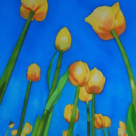 Tulips By Carolyn Judge