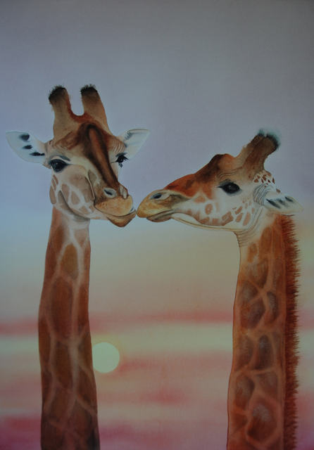 Artist Carolyn Judge. 'Necking Giraffes' Artwork Image, Created in 2015, Original Watercolor. #art #artist