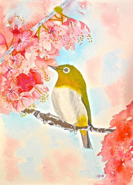 Carolyn Judge  'Waxeye In Spring Blossom', created in 2020, Original Watercolor.
