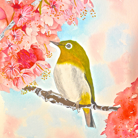 Waxeye In Spring Blossom, Carolyn Judge
