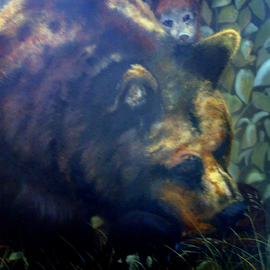 Michigan Black Bear By Craig Cantrell