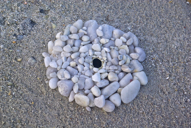 Artist Cecile Tissot. 'Beach Jewel 1' Artwork Image, Created in 2013, Original Sculpture Mixed. #art #artist
