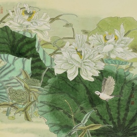 lotus painting By Jinxian Zhao 