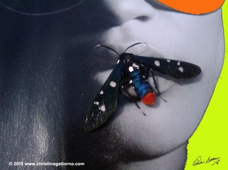 Christina Gattorno: 'Dont Bug Me 2', 2009 Color Photograph, Abstract.   Conceptual Photographic ArtDigital print on archival paper. Mounted on Aluminum & Plexiglas   ...