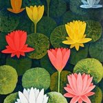 lotuscsh0018 By Chandru Hiremath