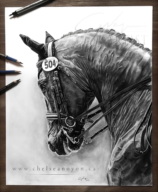 Chelsea Noyon  'Dressage Horse', created in 2021, Original Drawing Pencil.