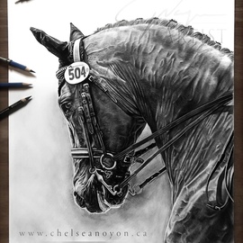 Chelsea Noyon: 'dressage horse', 2021 Graphite Drawing, Animals. Artist Description: Graphite drawing by Chelsea Noyon of a dressage horse on smooth bristol paper. ...