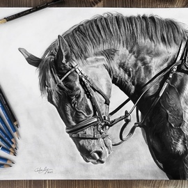 Chelsea Noyon: 'patience', 2020 Graphite Drawing, Animals. Artist Description: Detailed and realistic graphite pencil drawing on smooth bristol board. ...