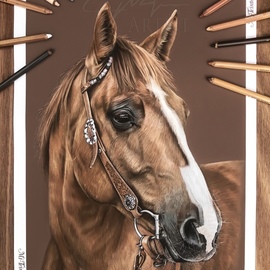 Chelsea Noyon: 'western rose', 2021 Pastel Drawing, Animals. Artist Description: Pastel pencil drawing by Chelsea Noyon of a western horse on Mi- Teintes Touch. ...