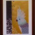 Bird1, Choko Nakazono