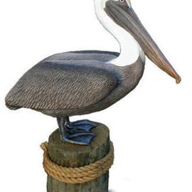 Chris Dixon: 'Lifesize Brown Pelican Statue', 2013 Mixed Media Sculpture, Birds. Artist Description:   1. 3a Life Size BROWN PELICAN Sculpture, limited ed. / 1500, over 30 X 41 inches tall 21/2 x31/2 feet! Awesome Super realistic Life- size Brown Pelican wildlife art sculpture, limited edition of only 1500. Pelicans are also available as the lifesize White Pelican. This shorebird is suitable for ...