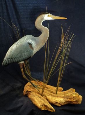 Chris Dixon: 'Miniature Great Blue Heron Sculpture, 29 in', 2013 Mixed Media Sculpture, Birds.  for sale: Miniature Great Blue Heron is 26 inches tall. Sculpture overall dimensions 28 L x 14 W x 29 H inches tall. There are 2 color morphs of the great blue heron, white and blue. Although the great blue heron can be found all over America, the great white...