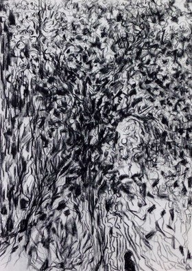 Christine Haehner Murdock: 'Girl In Forest', 2014 Charcoal Drawing, Abstract Figurative.  on canvas ...