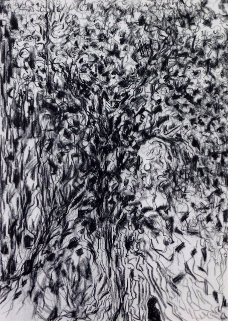 Christine Haehner Murdock  'Girl In Forest', created in 2014, Original Drawing Charcoal.
