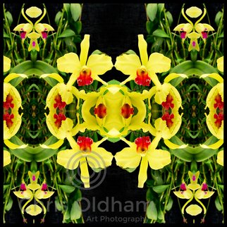 Chris Oldham: 'Varsuum', 2016 Digital Photograph, Meditation.  Orchid photographed and reflected to amplify the inherent beauty, symmetry and sacred geometry present in all nature. ...