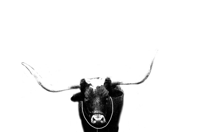 Christy Park  'Ox', created in 2014, Original Photography Mixed Media.