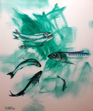 Chris Walker: 'scilly sardines', 2020 Oil Painting, Fish. Oil on Stretched Canvas  46cm x55cm ....