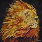 African Lion  By Cindy Pinnock