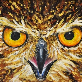 Owl Eyes By Cindy Pinnock