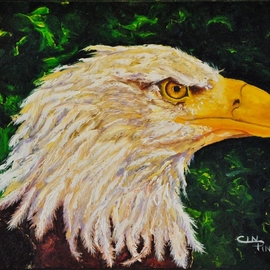 eagle By Cindy Pinnock