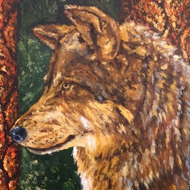 Cindy Pinnock: 'wolf', 2017 Oil Painting, Wildlife. Artist Description: wolf, timber wolf...