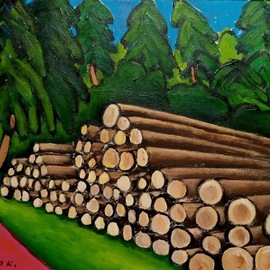 logs in the forest  By Krisztina Lantos
