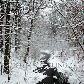 Martin A Ettlinger: 'Prospect Park Brook', 2011 Color Photograph, nature. Artist Description:   Prospect Park Lace was taken after a heavy snowfall, in this most beautiful park in Brooklyn, New York. Photo is behind glass in a white wood frame. Watermark will not appear in photo. Frame size is 13 x 17 inches.     ...
