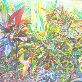 Ti Plant With Crotons, Caren Keyser