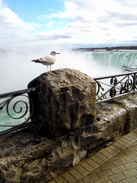 Artist Clinton Lown. 'A Great White Birds View Of The Mighty Niagara' Artwork Image, Created in 2014, Original Digital Art. #art #artist