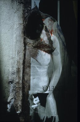 Claudia Nierman: '29 Mutant wall', 1999 Cibachrome Photograph, nudes.  This image is also available printed on canvas 57 x 80. ...