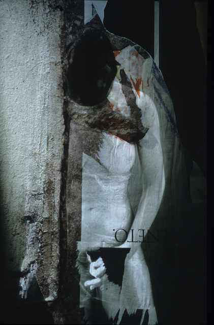 Claudia Nierman  '29 Mutant Wall', created in 1999, Original Photography Digital.