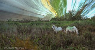Claudia Nierman: 'In the Wild', 2012 Other Photography, Magical.  Printed on cotton archival photography paper or metallic photographic paper.mages can be framed or mounted on sintra with or with out acrylic. I am happy to custom made for each person' s need. ...
