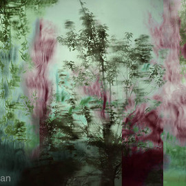 Claudia Nierman Artwork Sounds from New Orleans, 2012 Other Photography, Magical