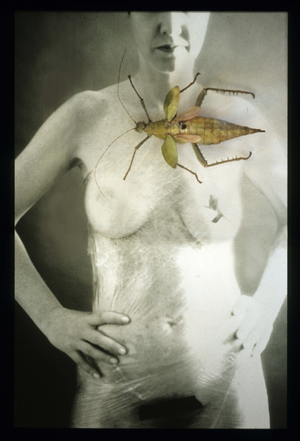 Artist Claudia Nierman. 'Strange Beauty' Artwork Image, Created in 2000, Original Photography Digital. #art #artist
