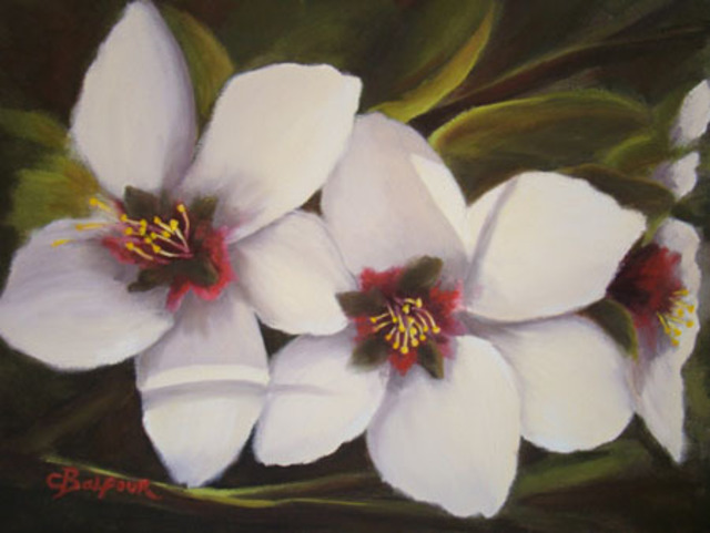 Artist Colleen Balfour. 'Almond White' Artwork Image, Created in 2009, Original Painting Oil. #art #artist