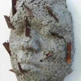 Mary Cook: 'Untitled', 2003 Other Sculpture, Abstract Figurative. Artist Description:  Concrete face with weathered rusted razor blades. ...